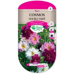 COSMOS DOUBLE VARIÉ -...