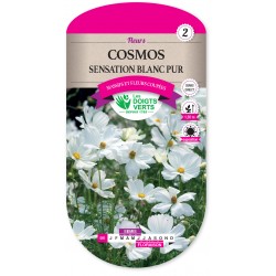 COSMOS SENSATION BLANC PUR...