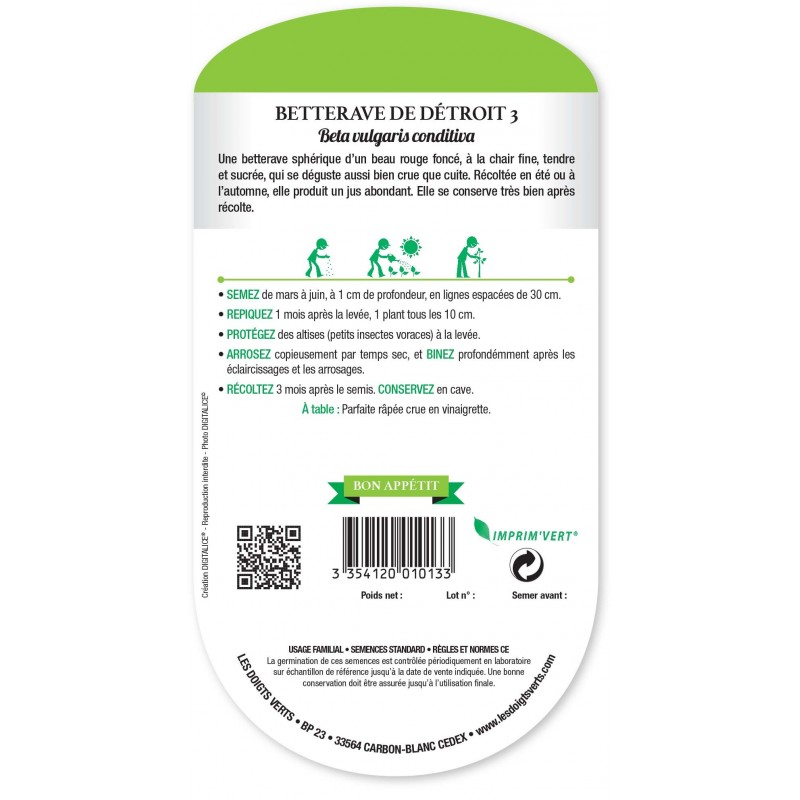 BETTERAVE DE DETROIT GLOBE cat1