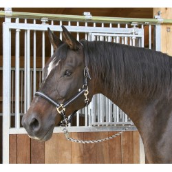 LICOL MUSTANG DOUBLE...