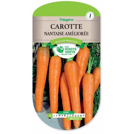 CAROTTE NANTAISE AMELIOREE cat1 CAROTTE NANTAISE AMELIOREE cat1