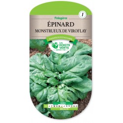 EPINARD MONSTRUEUX VIROFLAY cat1