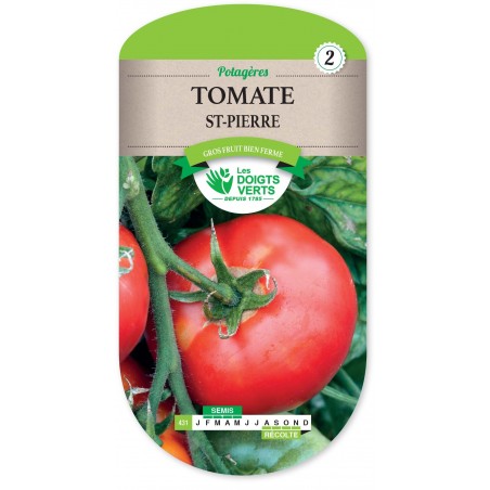 TOMATE SAINT PIERRE cat2 TOMATE SAINT PIERRE cat2