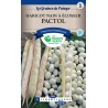 HARICOT NAIN PACTOL 250 GR CATD