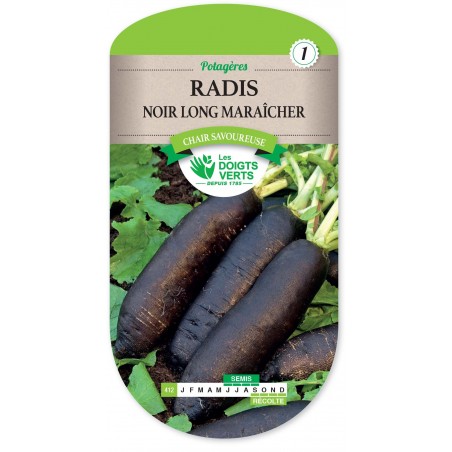 RADIS NOIR GROS LONG MARAICHER cat1 RADIS NOIR GROS LONG MARAICHER cat1