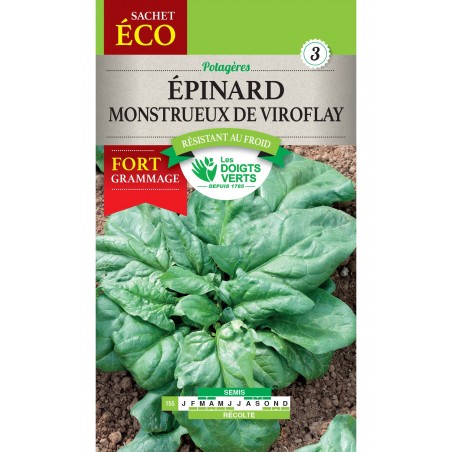 EPINARD MONSTRUEUX DE VIROFLAY CAT3 EPINARD MONSTRUEUX DE VIROFLAY CAT3