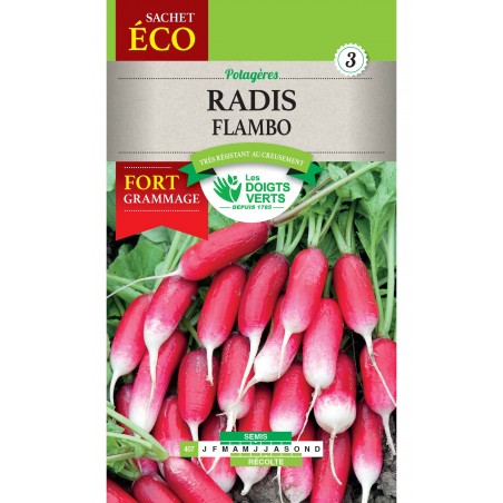 RADIS FLAMBO CAT3 RADIS FLAMBO CAT3