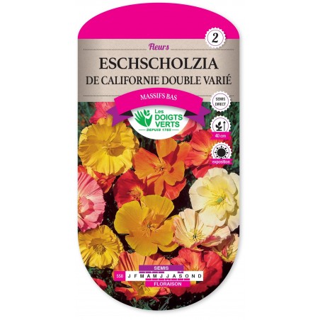 ESCHSCHOLTZIA CALIFORNIE DOUBLE VARIEE cat2 ESCHSCHOLTZIA CALIFORNIE DOUBLE VARIEE cat2