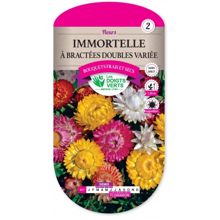 IMMORTELLE A BRACTEES DOUBLE VARIEE cat2 IMMORTELLE A BRACTEES DOUBLE VARIEE cat2
