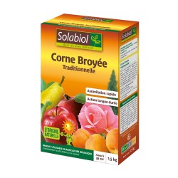 CORNE BROYÉE TRADITIONNELLE...