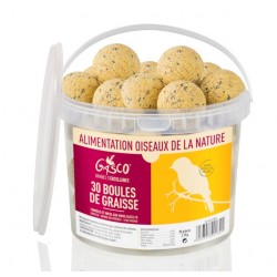 SEAU DE 30 BOULES DE...