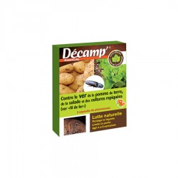 VER DE LA POMME DE TERRE -...