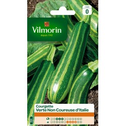 COURGETTES NON COUREUSES...