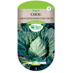 CHOU CABUS COEUR DE BOEUF cat1
