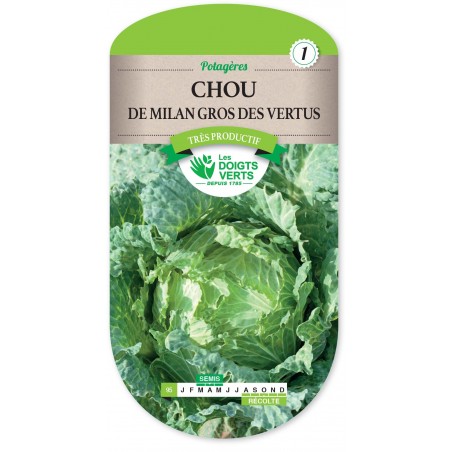 CHOU MILAN GROS DES VERTUS cat1 CHOU MILAN GROS DES VERTUS cat1