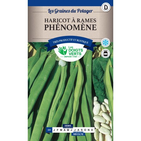 HARICOT RAME PHENOMENE 250GR catD HARICOT RAME PHENOMENE 250GR catD