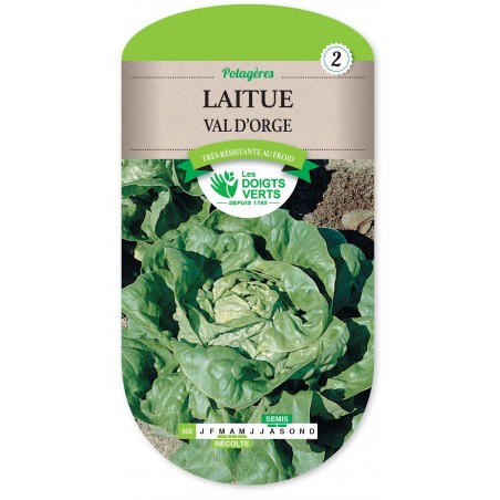 LAITUE VAL D ORGE LAITUE VAL D ORGE