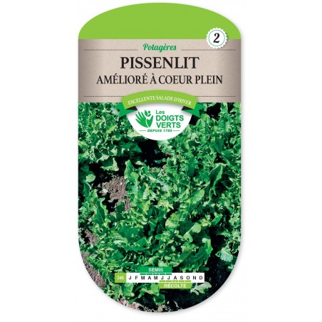 PISSENLIT AMELIORE A COEUR PLE cat2 PISSENLIT AMELIORE A COEUR PLE cat2