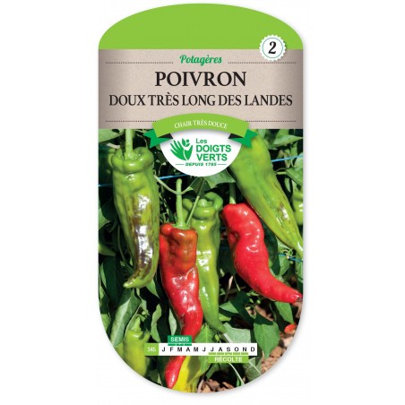 POIVRON DOUX TRES LONG DES LANDES POIVRON DOUX TRES LONG DES LANDES