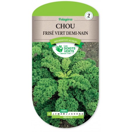 CHOU FRISE VERT DEMI NAIN CHOU FRISE VERT DEMI NAIN