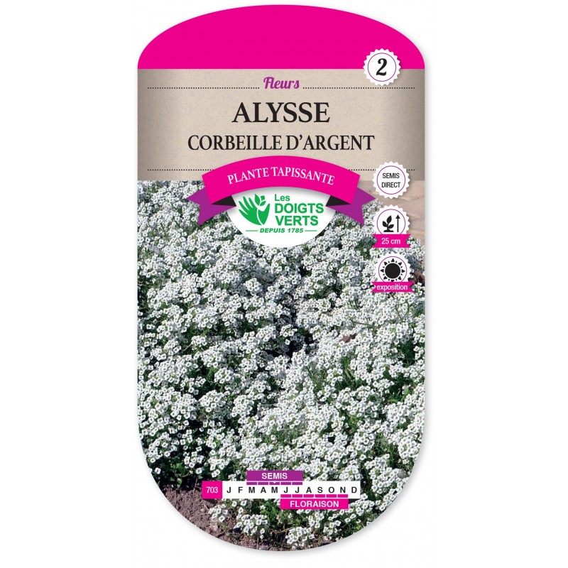 ALYSSE CORBEILLE D ARGENT