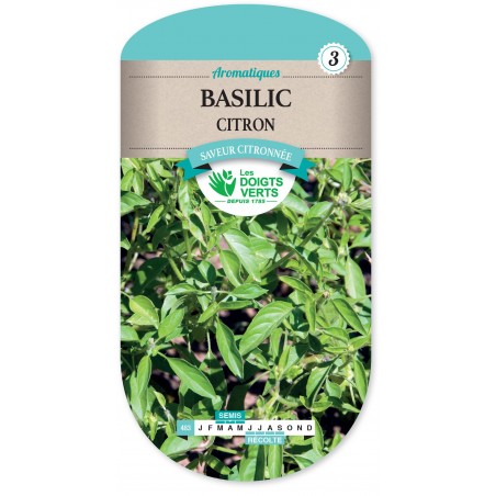 BASILIC CITRON cat3 BASILIC CITRON cat3