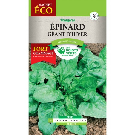 EPINARD GEANT D HIVER SACHET GEANT CAT3 EPINARD GEANT D HIVER SACHET GEANT CAT3