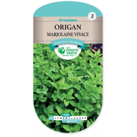 ORIGAN MARJOLAINE VIVACE CAT3 ORIGAN MARJOLAINE VIVACE CAT3