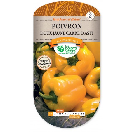 POIVRON DOUX JAUNE CARRE D'ASTI CAT3 POIVRON DOUX JAUNE CARRE D'ASTI CAT3