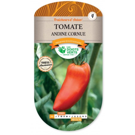 TOMATE ANDINE CORNUE CAT4 TOMATE ANDINE CORNUE CAT4