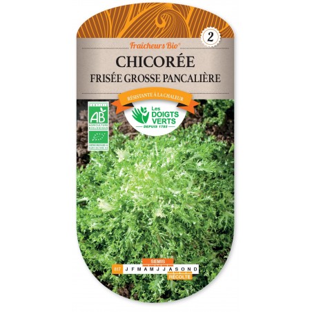 CHICOREE FRISEE PANCALIERE BIO cat2 CHICOREE FRISEE PANCALIERE BIO cat2