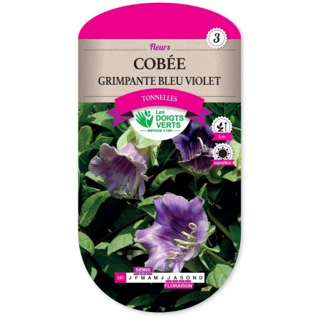 COBEE GRIMPANTE BLEU VIOLET cat3