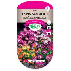 TAPIS MAGIQUE FICOÏDE CRINIFLORUM cat2