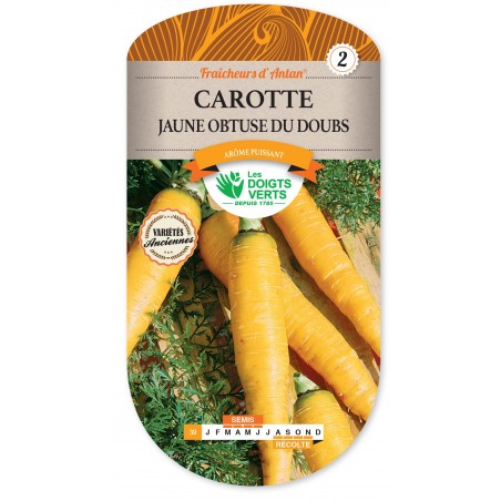 CAROTTE FOUR JAUNE OBTUSE DOUB ANTAN cat2 CAROTTE FOUR JAUNE OBTUSE DOUB ANTAN cat2