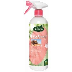EASY SHINE LUSTRANT 750ML -...