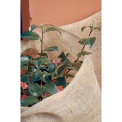 TOILE DE JUTE 200G/M² 10X1M...