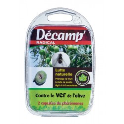 VER DE L'OLIVE - DECAMP'