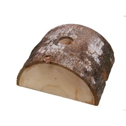 PIED BÛCHE SAPIN COUPÉ D70 (C)