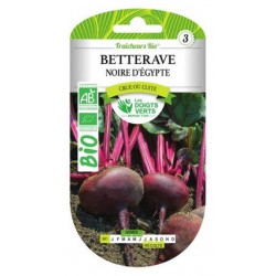 BETTERAVE NOIRE D'ÉGYPTE...