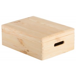 CAISSE AVEC COUVERCLE...