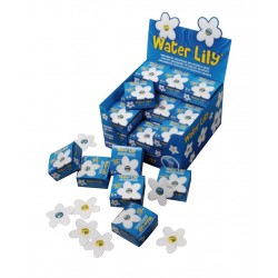 WATER LILY BOÎTE DE 6...