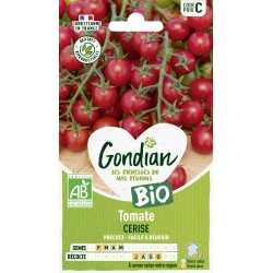 TOMATE CERISE BIO - GONDIAN