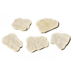 PAS CHINOIS MULTIFORMAT TON...