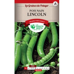 POIS NAIN LINCOLN - LES...