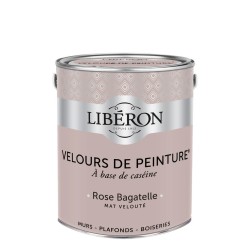 VELOURS DE PEINTURE ROSE...