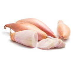 ECHALOTE LONGOR 15.35 500G