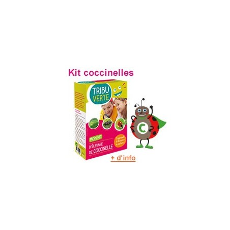 KIT ELEVAGE COCCINELLES KIT ELEVAGE COCCINELLES