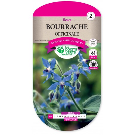 BOURRACHE OFFICINALE CAT2 BOURRACHE OFFICINALE CAT2