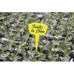 ÉTIQUETTES A PLANTER 15CM...