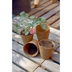 GODETS DE TOURBE X18 D8CM -...